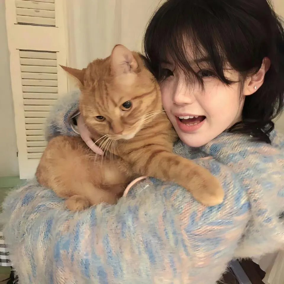 八仙后传之续命宝葫